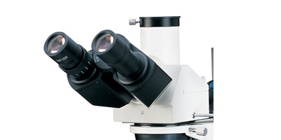 观察头.jpg 观察头.jpg