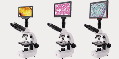 连接生物演示装置.png 连接生物演示装置.png